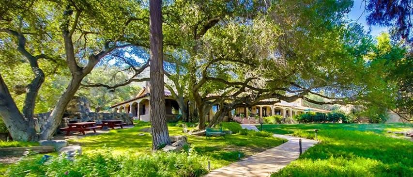 Vineyard Hacienda Property Vineyard Hacienda